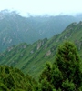 青海省對(duì)天然林保護(hù)工程進(jìn)行績(jī)效評(píng)價(jià)，對(duì)2018年度森林管護(hù)工作進(jìn)行了巡回監(jiān)理，實(shí)現(xiàn)績(jī)效評(píng)價(jià)和監(jiān)理工作的全覆蓋。