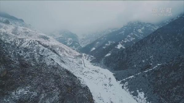 青海互助：雪后高原林場